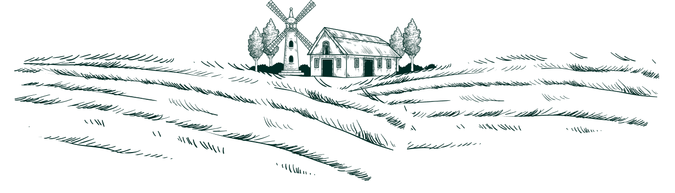 Landscape sketch divider